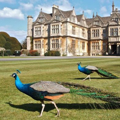 All things History & Heritage at Bath Spa University