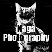 Naga Photography(@TrueDragonfly) 's Twitter Profile Photo