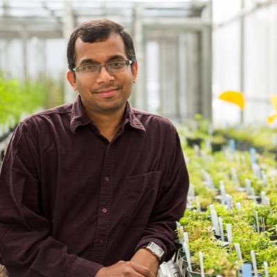 Assistant Professor @WSUPlantPath