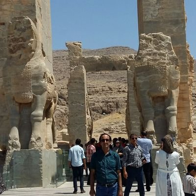 arashsatar's profile picture. web designer