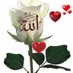 سكون الليل (@naidh204) Twitter profile photo سكون الليل (@naidh204) Twitter profile photo