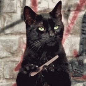 Cryptocuz's profile picture. BitCoin Champion