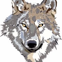 Jon Green (@jongreen_jpms) 's Twitter Profile Photo