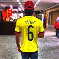 Fabian Vargas Rivera(@FabianVargas6) 's Twitter Profileg