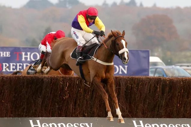 Once tipped a Gold Cup Third at 7/2. Had one of my tweets used by the RP. Mentioned on FFP. Tipster extraordinaire for Sporting Life. 2/30 tips, P/L -28pts