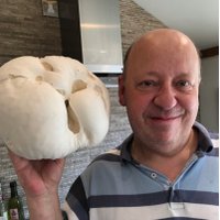 Martin The Mushroom(@MartinLevy9) 's Twitter Profileg