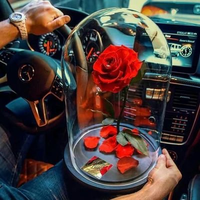 bbylove94's profile picture. (god)
Nobody can go back and start a new beginning, but anyone can start today and make a new ending.