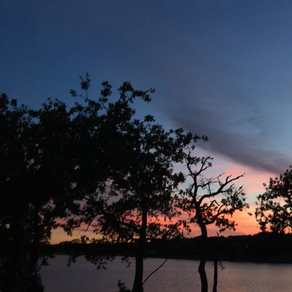 _maaarrryyyy_'s profile picture. idk