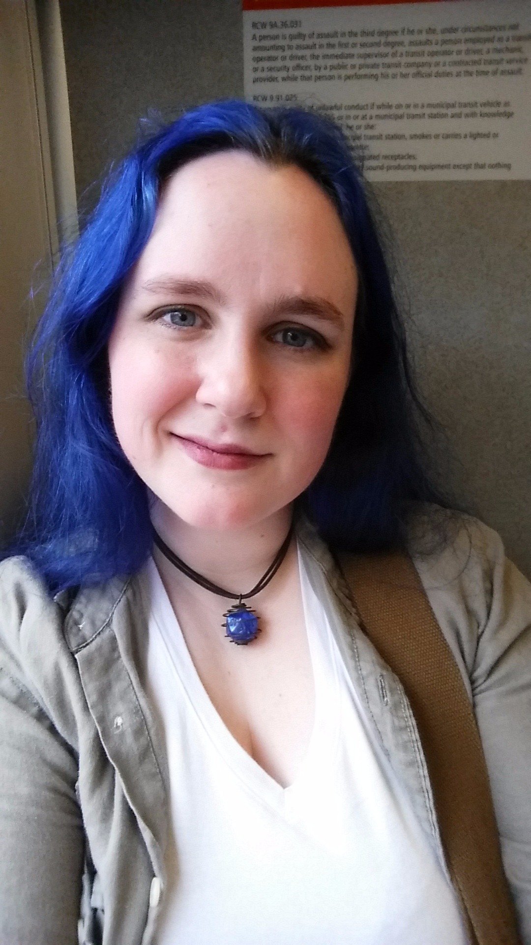 Agender woman, American (unfortunately), human (as far as anyone can prove), tired at all times
