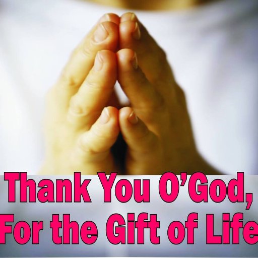 makgelas's profile picture. A child of destiny.  Hardworking, dedicated, and straightforward.