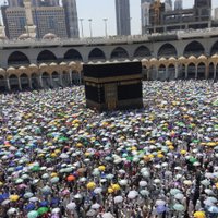 الحربي (@d2002oh) 's Twitter Profile
