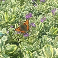 Cerys Owens (@cerysowens78) 's Twitter Profile Photo Cerys Owens (@cerysowens78) 's Twitter Profile Photo