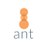 Ant