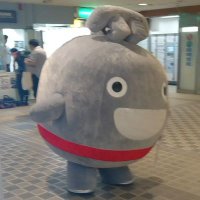むく (@mukumumumukuku) 's Twitter Profile