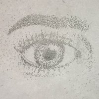 Robin Lab (@specifly_lab) 's Twitter Profile