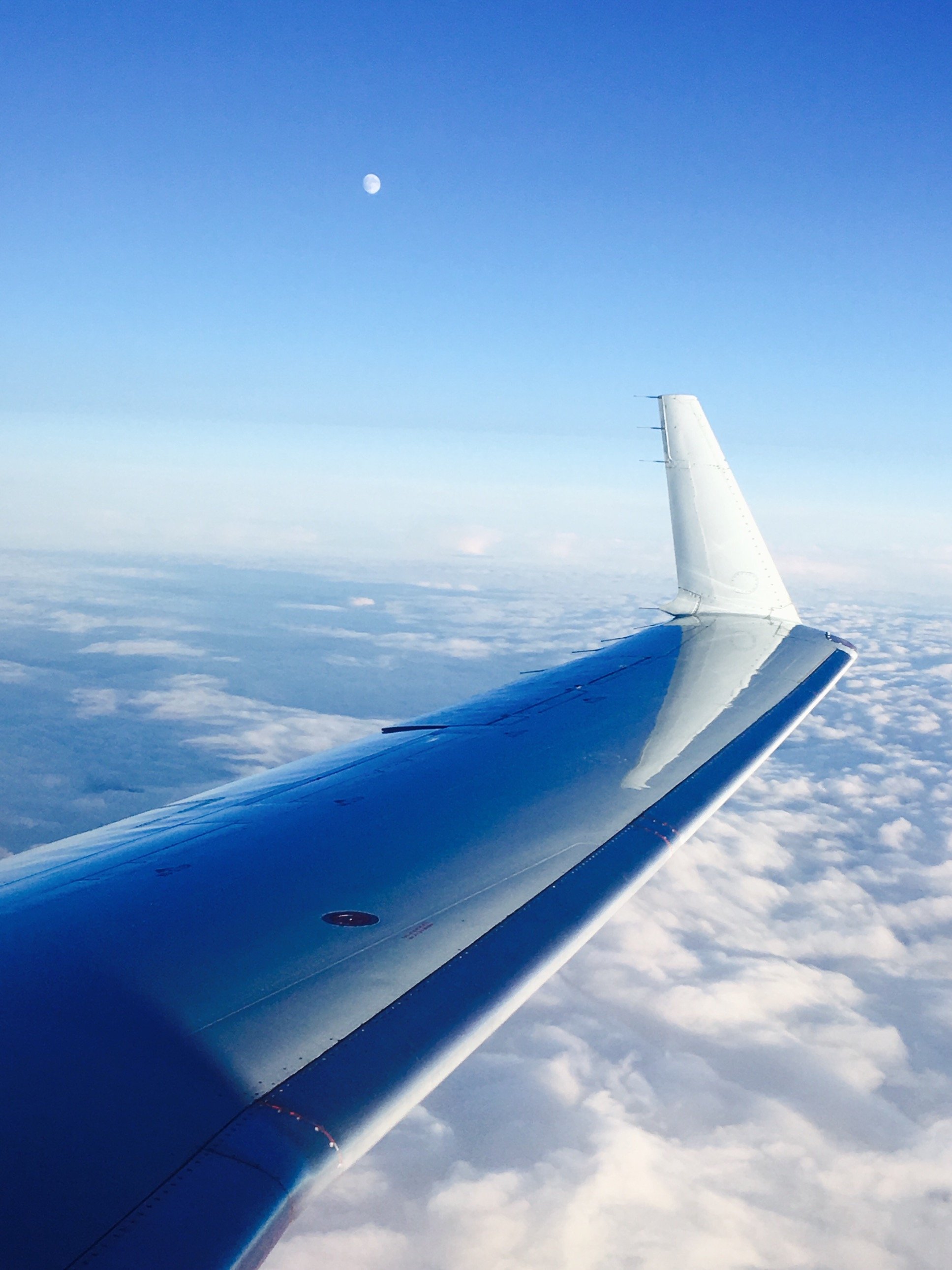 JRavenCabrera's profile picture. 