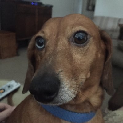 Jennife65617437's profile picture. Mom of 2 • Teacher at CSHS