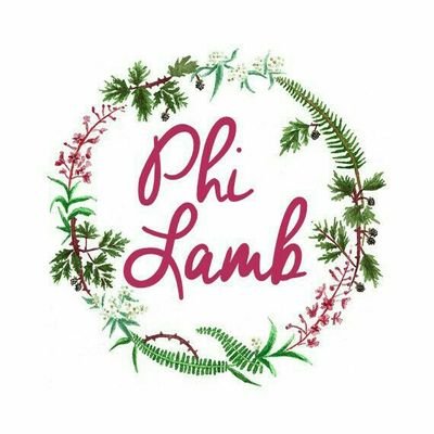 We are the sisterhood of Sigma Phi Lambda at Southwestern University. Sisters for the Lord!