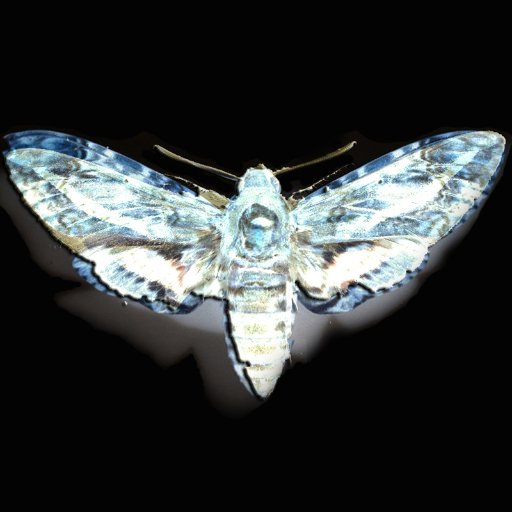 gbusbeat's profile picture. Trip Hop Witch House Electronic Chill