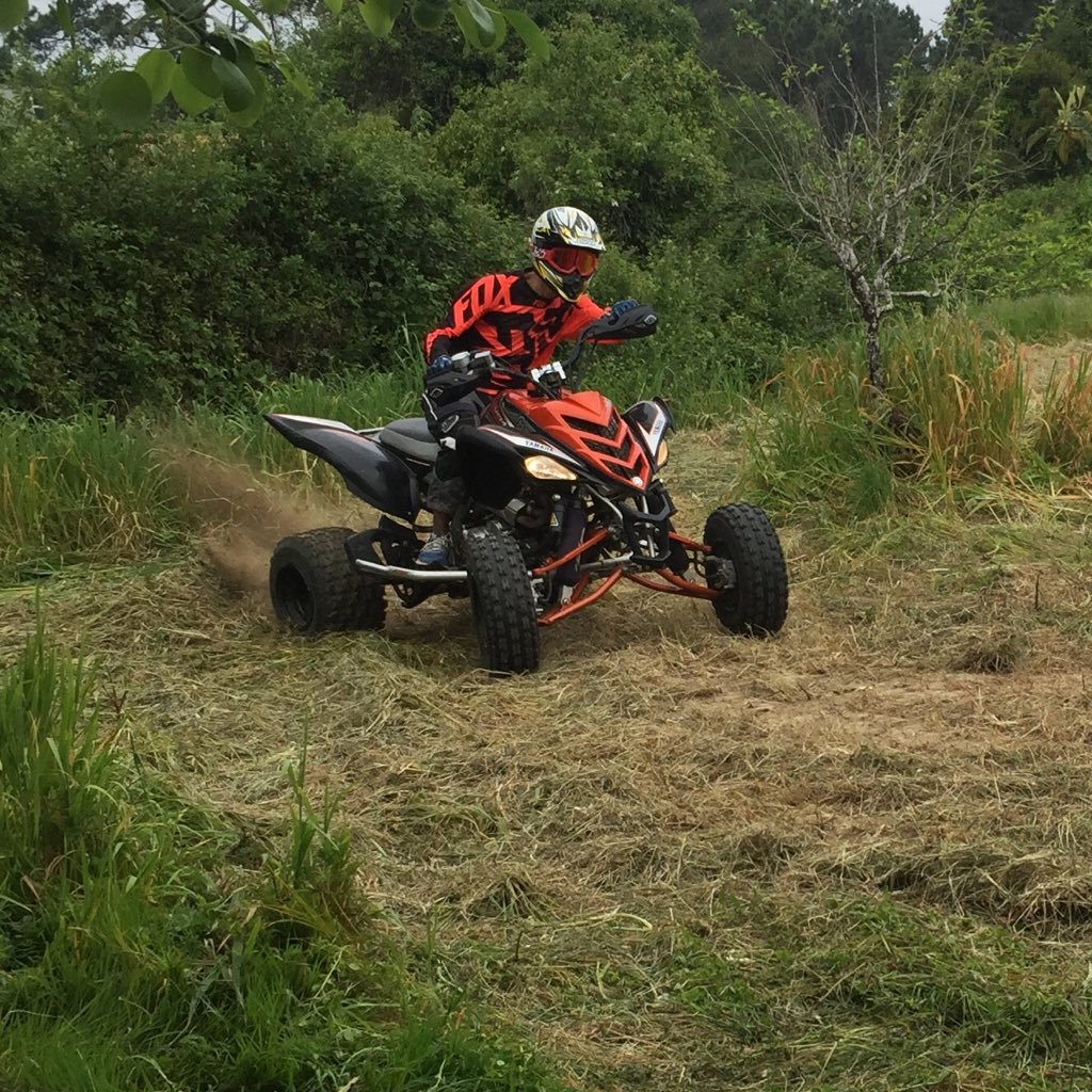 LeonardoDownhil's profile picture. Downhill