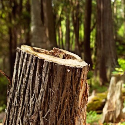 _savelife_'s profile picture. 