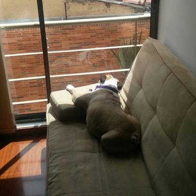 gutylo3323's profile picture. 