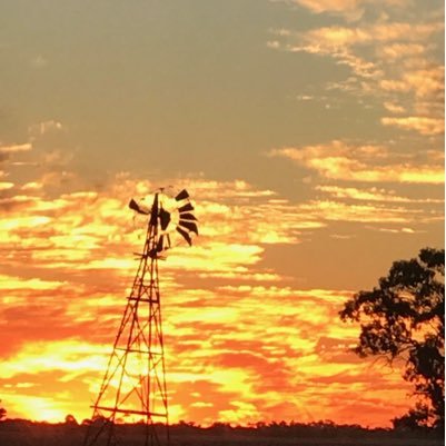 gilly_not_silly's profile picture. Fan of Geelong Cats + soil health practices that build better food & fibre production pathways. Views are my own.
