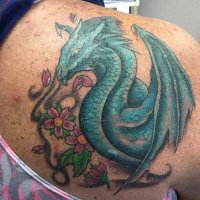 Cindy Derr (@craederr) 's Twitter Profile