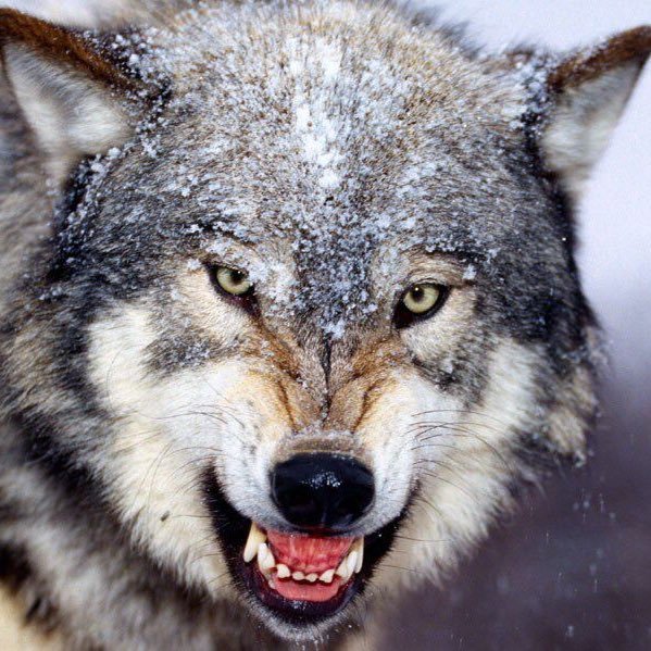 awl80's profile picture. 