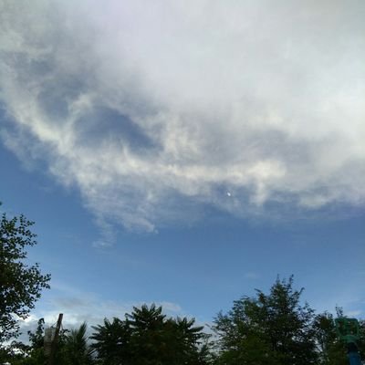 zawwinzwin's profile picture. 