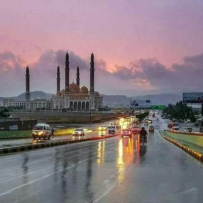 NZ8VH9m1JdtjXwy's profile picture. 