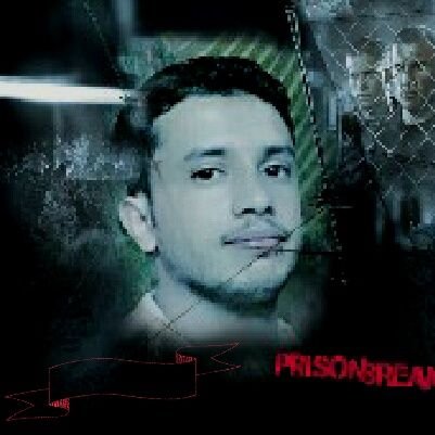 tsdfyh's profile picture. 