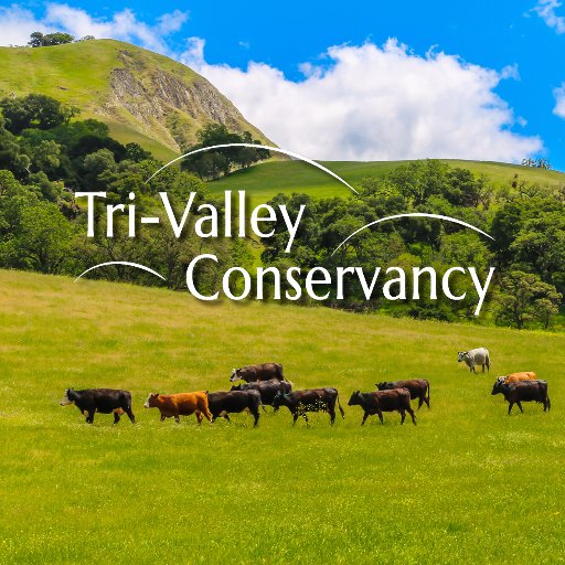 Preserving land, connecting communities, and enriching life in California's Tri-Valley. An Accredited Land Trust.