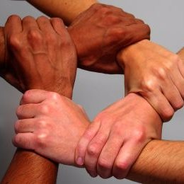 SEAspringfield's profile picture. 