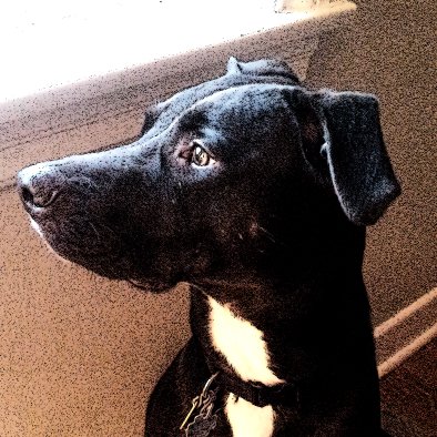 jim_iotdev's profile picture. Hello! I'm a software engineer with 30+ years of experience. I've got a real interest in all things IoT. I'll be tweeting about IoT stuff and my projects.