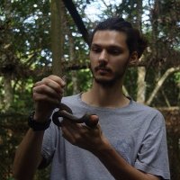 Matt Armes 🦎 🇪🇺 (@lizardkingmatt) 's Twitter Profile