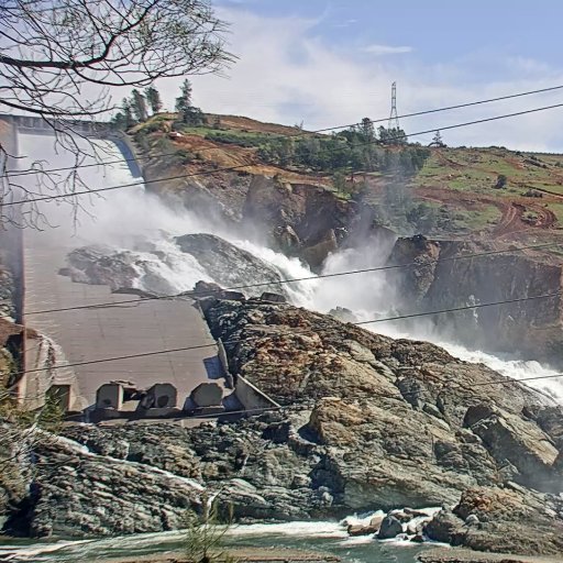 daminsider's profile picture. 