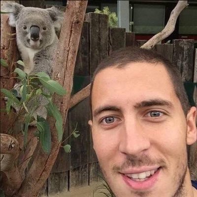 Hobbsie7__'s profile picture. Elite 1 fut champs player | Xbox | GT: Hobbsie7 | 16 | UK 🇬🇧 | free agent | looking to represent a team |