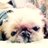 satooya66's profile image