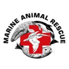 Marine Animal Rescue