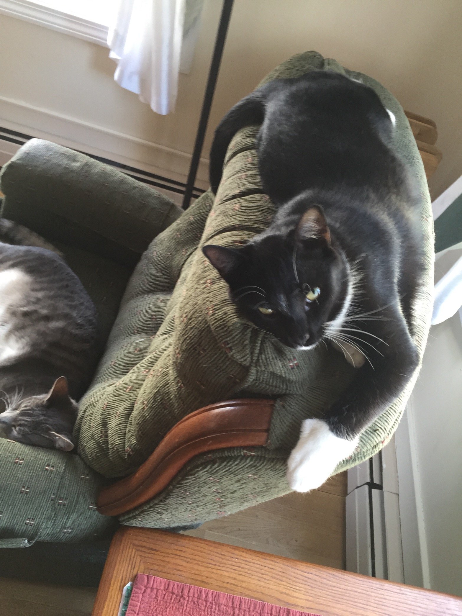 FrankNe23856369's profile picture. Adjunct prof at a third rate college, Ret. Senior researcher in Ethanol Studies, Retired. RTs are a test. You've done 1/2 the work.