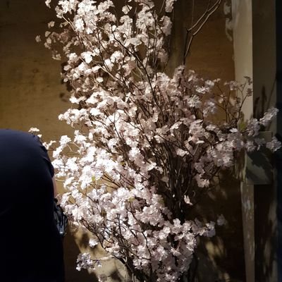 shh791226's profile picture. 사랑과 평화에 관심이 많은 꿈많은 사람입니다