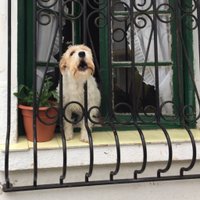 Marvo 🇪🇺 #GTTO (@cormatin61) 's Twitter Profile