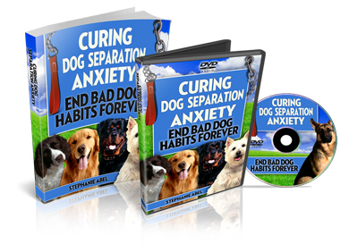 curedoganxiety's profile picture. 'Curing Dog Separation Anxiety' is the best selling program to improve dog behaviour