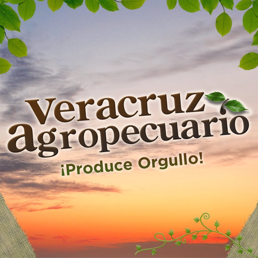Programa emblemático de @RTVVeracruz dedicado al ámbito agrícola y pecuario, con 44 años al aire, conducido por Isela Pacheco. #SomosRTV