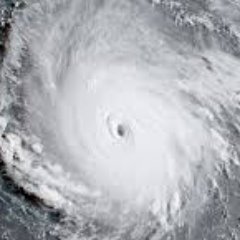 HURRlCANE_lRMA's profile picture. Hey, my name is Irma. I was born not too long ago and I kinda just want to share my thoughts as I travel around the world. Follow for updates on my travels:)