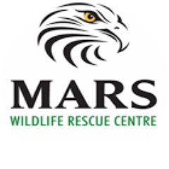 MARS Wildlife Rescue Centre is a non profit wildlife rescue and recovery center, specializing in raptors.