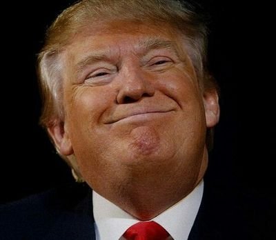 TuAmigoTrump Profile Picture