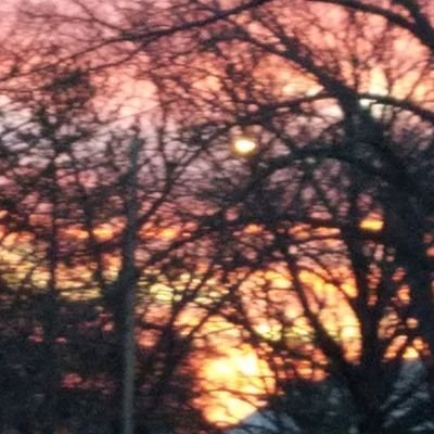 jarjarthecar's profile picture. The King of Sand Creek