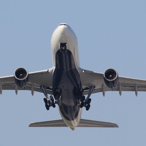 tflyer85's profile picture. Software Support